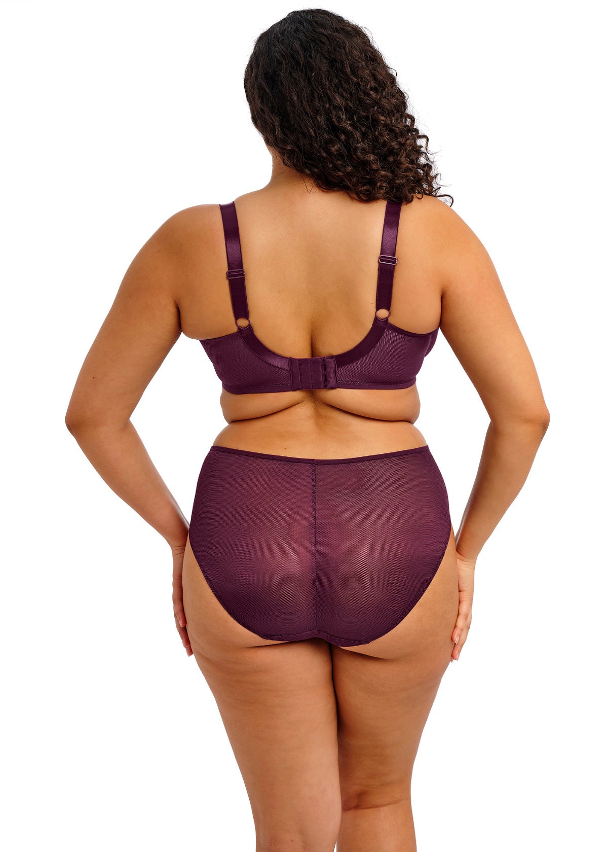 Elomi Kintai Full Brief