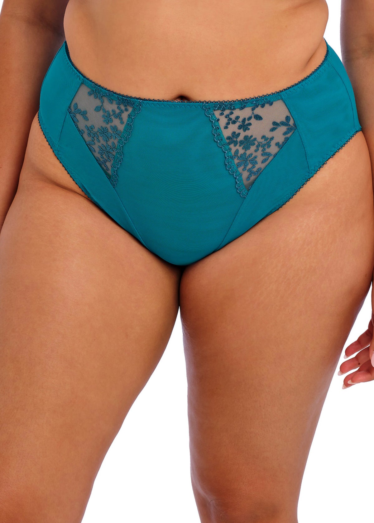 Elomi Zarla High Leg Brief