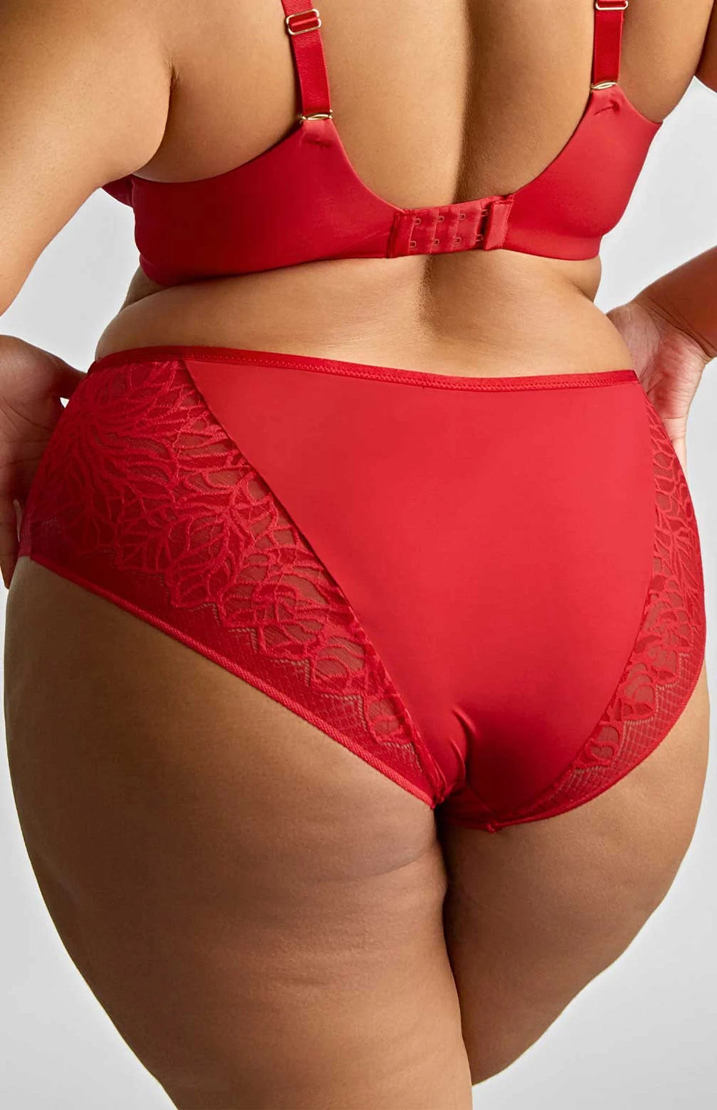 Sculptresse Sophia Deep Brief
