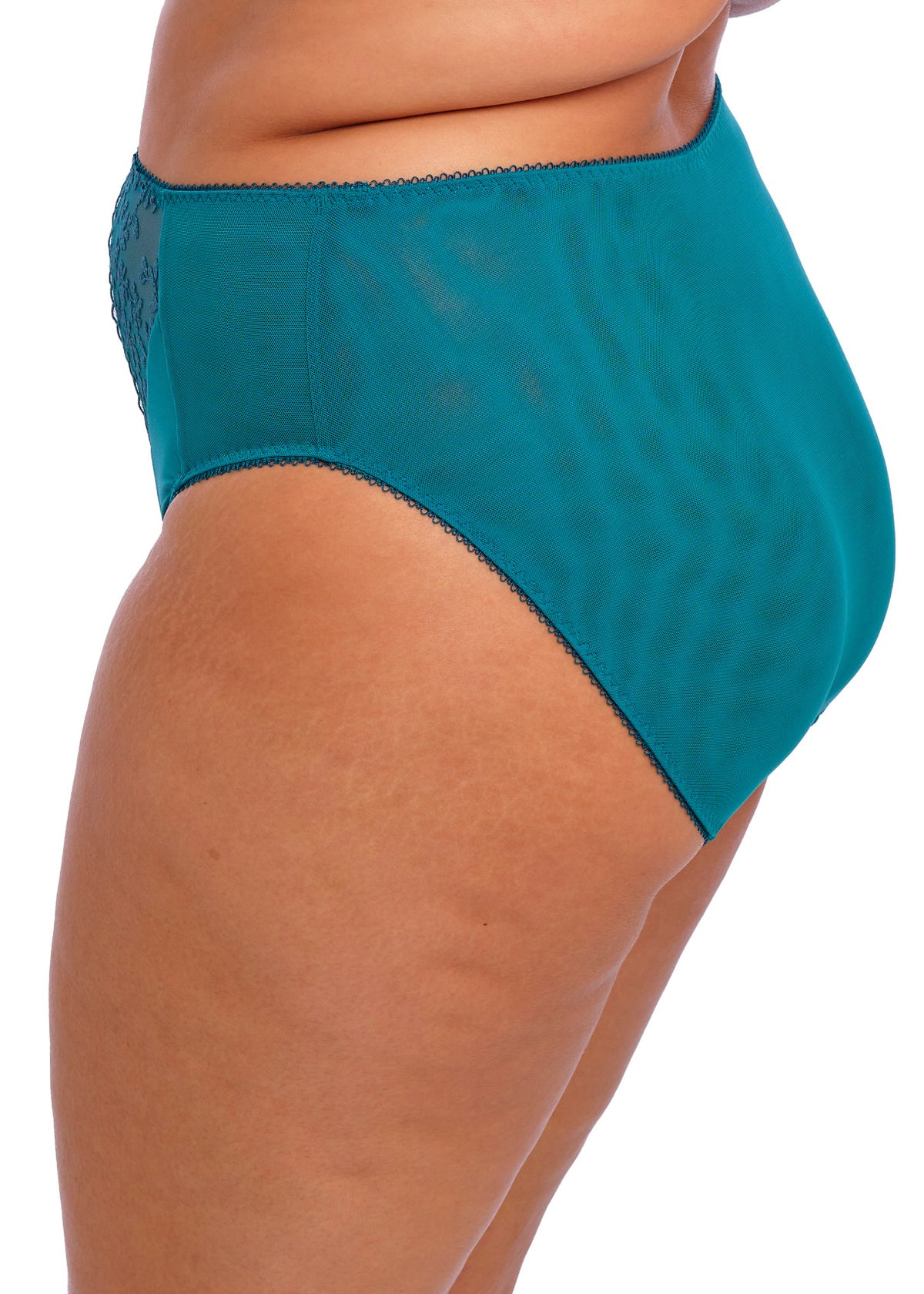 Elomi Zarla High Leg Brief