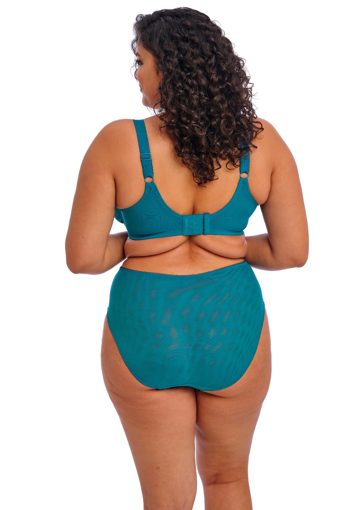 Elomi Zarla High Leg Brief